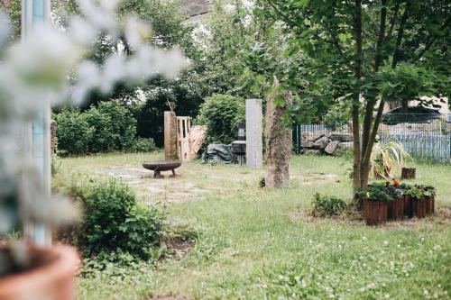a garden with a bench in the grass at Gemütliche Oase in der Altstadt in Löbau