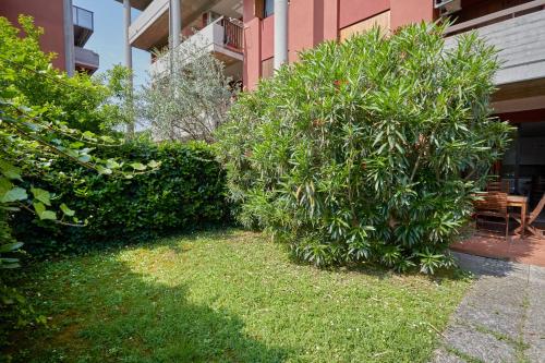 a couple of bushes in front of a building at Oasi del relax - 100mt lake - wonderful apartment with private garden and pool in Desenzano del Garda