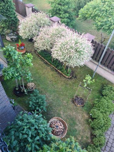 an aerial view of a garden with trees and plants at Vila Šventoji in Šventoji