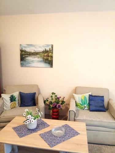 Ruang duduk di Hajdi apartman
