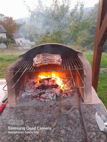 a grill with a piece of meat on top of it at Il Casolare Bioenergetico in Albareto