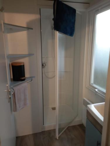 レージュ・キャップ・フェレにあるCamping Siblu Mobilhome 2 chambresのガラスドア付きのシャワー付きのバスルーム
