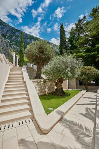 a set of stairs with trees in the background at Hotel Forza Mare in Kotor