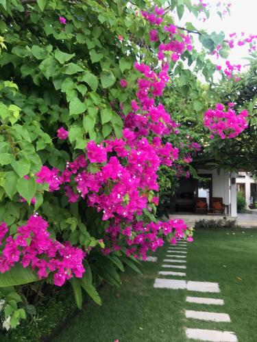 a garden with pink flowers and a stone path at Villa Kaniksa in Candidasa