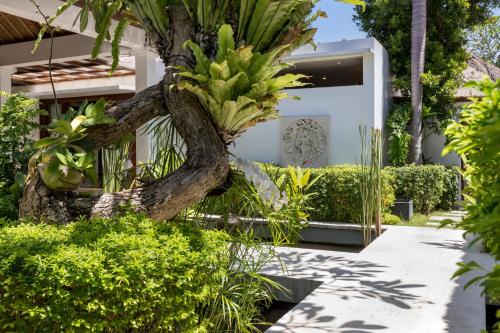 a house with a bunch of plants on the side of it at Villa Kaniksa in Candidasa