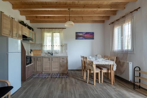 Kuchyň nebo kuchyňský kout v ubytování Pratsas House