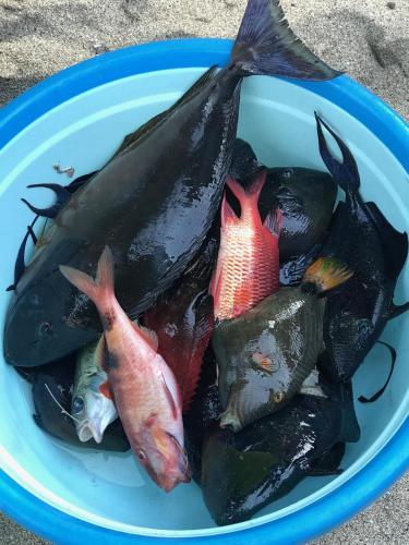 a bowl of fish on a plate on the beach at Villa Kaniksa in Candidasa