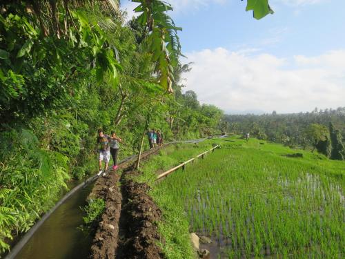 a group of people walking on a road through a field at Villa Kaniksa in Candidasa