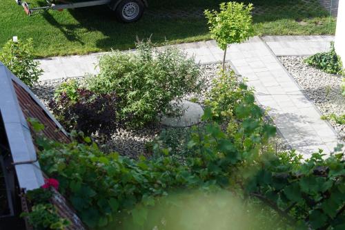 a garden with flowers and plants in a yard at Bon Ton in Szczecin