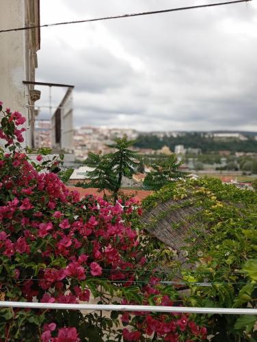 Φωτογραφία από το άλμπουμ του Casa com vista sob a cidade! στην Κοΐμπρα