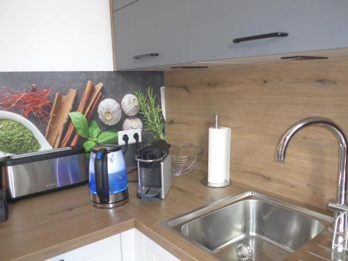 a kitchen counter top with a sink and a counter sidx sidx sidx at Ferienwohnung Martin Hoop in Bautzen