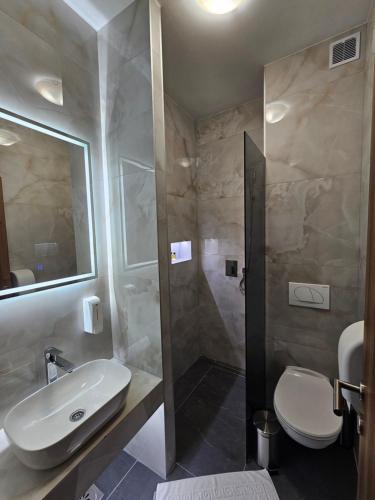 a bathroom with a sink and a toilet and a shower at Hostel PREMIUM in Derventa