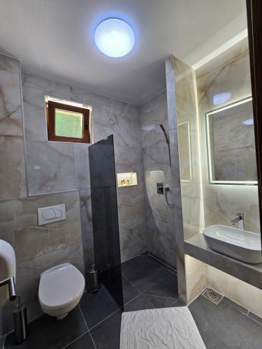 a bathroom with a shower and a toilet and a sink at Hostel PREMIUM in Derventa