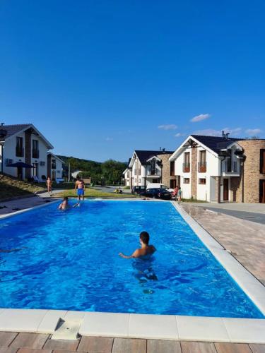 a group of people in a swimming pool at Royal Villa - HAWAII in Vrnjačka Banja
