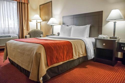 Postel nebo postele na pokoji v ubytování Quality Inn Rio Rancho - Albuquerque North Valley