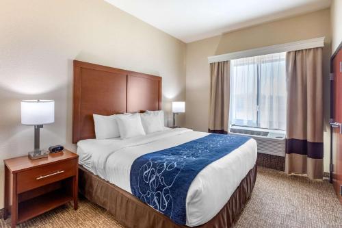 Comfort Suites Near Denver Downtown Image
