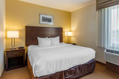 a large bed in a hotel room with two lamps at MainStay Suites Near Denver Downtown in Denver