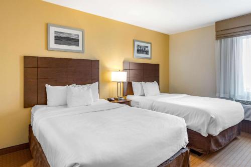 a hotel room with two beds and a window at MainStay Suites Near Denver Downtown in Denver