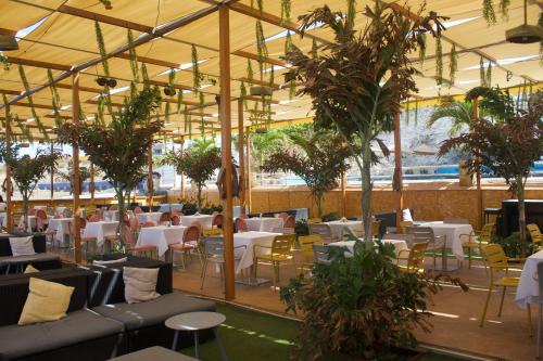 a restaurant with tables and chairs and potted plants at Falucho Paradise Beach in Pedra Badejo