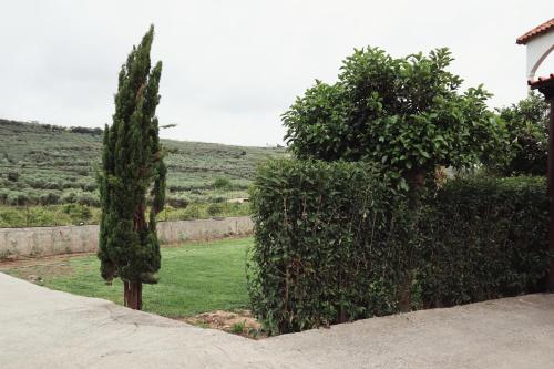 Κήπος έξω από το Villa Elea Apartments