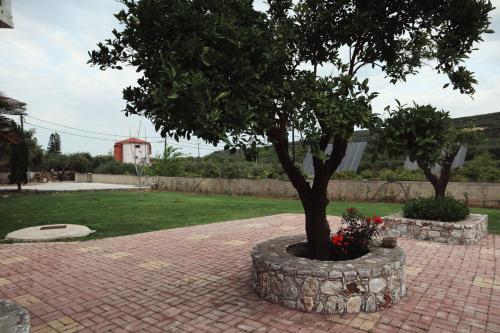 Κήπος έξω από το Villa Elea Apartments
