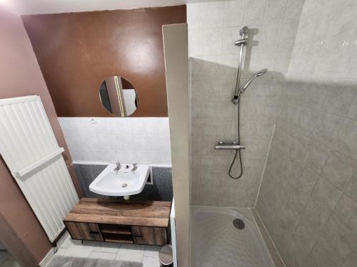 Le DézertにあるMaison au calme, idéalement située au centre du Cotentinの洗面台とシャワー付きのバスルーム