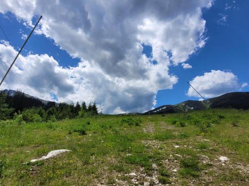 Příroda nedaleko apartmánu