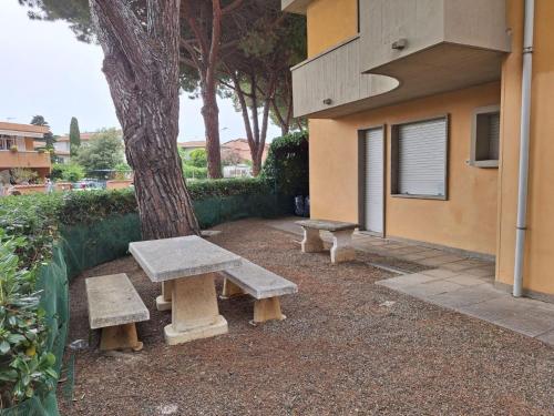 two benches sitting next to a tree next to a building at Appartamento le vele in Cecina