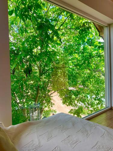 a bedroom with a window looking out at a tree at Mazurski dom Brejdyny Sauna i Bania in Mrągowo