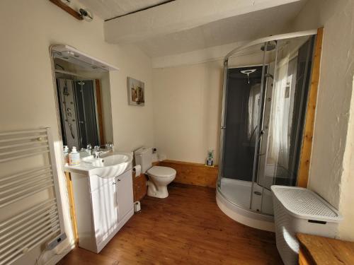 une salle de bain avec une douche, des toilettes et un lavabo dans l'établissement Les Gites Audrain, à Plussulien
