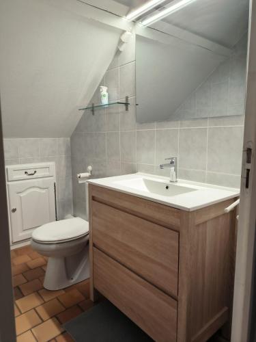 une salle de bain avec un lavabo et des toilettes dans l'établissement chambre d'hôtes entrée indépendante proche Amboise La Parenthèse, à Mosnes