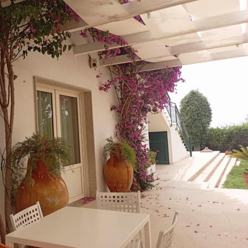 Φωτογραφία από το άλμπουμ του Agriturismo Donna Clementina σε Castellaneta Marina 