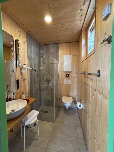 a bathroom with a shower and a sink and a toilet at mein kleinDOMIZIL Mittenaar in Mittenaar