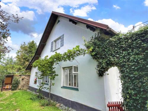 a white house with a window and vines at Holiday Home Kern by Interhome in Kvasiny