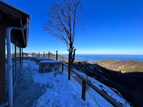 Billede fra billedgalleriet på Pagen Bungalow i Hopa