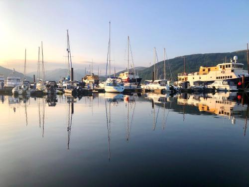 a group of boats are docked in a harbor at Blairlagan Lodge in Hunters Quay