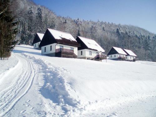 Holiday Home Stárkov by Interhome im Winter