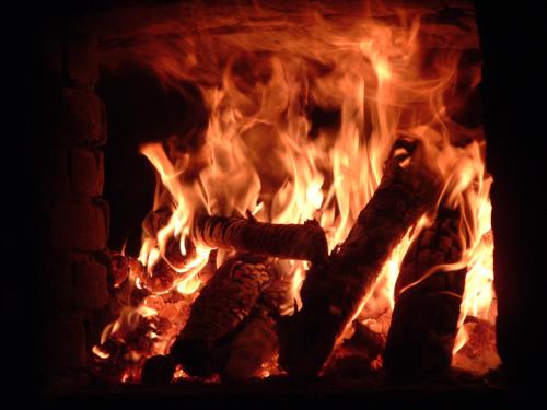a fire in a brick fireplace with some food in it at Col du Fatten in Beek
