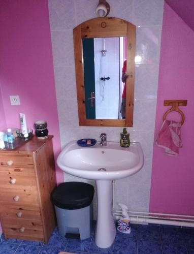 une salle de bain avec un lavabo et un miroir dans l'établissement Peace Room, à Veigné