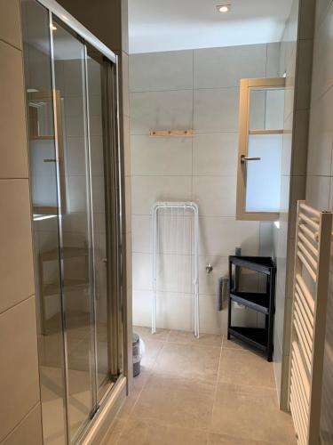 a bathroom with a glass shower and a mirror at Appartement Les Vendanges Parking privé Gites1596 in Beblenheim