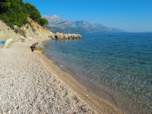 Naturlandskabet i nærheden af lejligheden