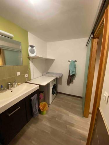 a bathroom with a sink and a washing machine at Logement 7pers-80m2 avec terrasse & jardin in Gries