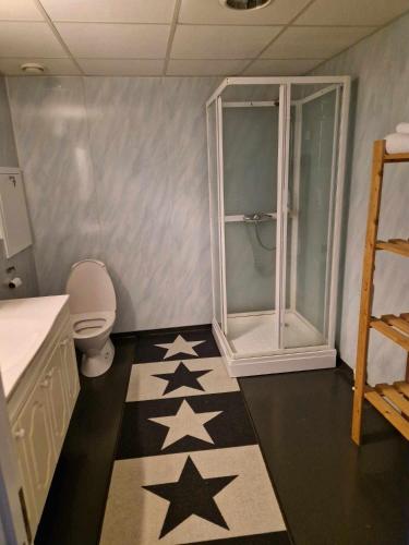 a bathroom with a shower and a toilet with stars on the floor at Haukeli hotell leilighet in Haukeligrend