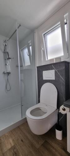 a bathroom with a white toilet and a shower at Mobile Home Happy Family Šimuni in Šimuni