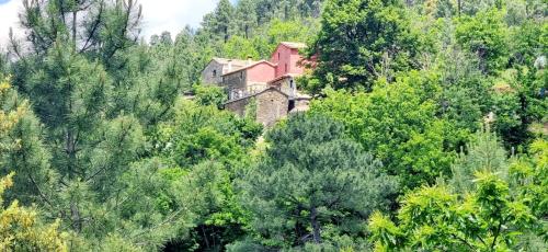 Domaine du Moment Présent