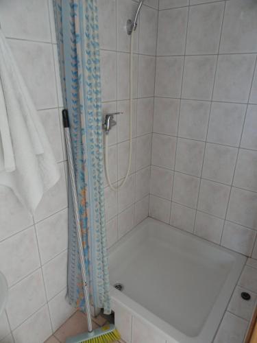 Apartments Damjan
