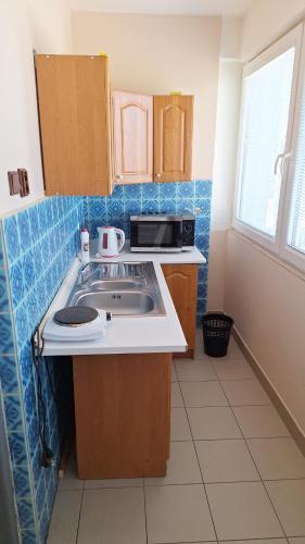 kuchnia ze zlewem i kuchenką mikrofalową w obiekcie Hotelak Martinov w Ostravie