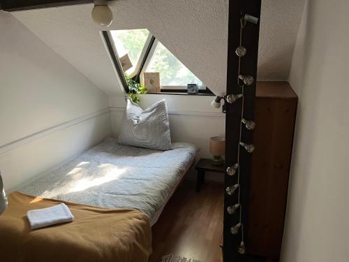 a small room with a bed and a window at Vadvirág Apartmanház in Gyomaendrőd
