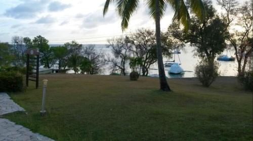 a park with a tree and a boat in the water at Studio confortable à Sainte-Anne 40 m² jardin privé in Sainte-Anne