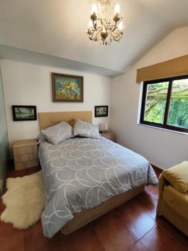 a bedroom with a bed and a chandelier at A Casiña do Río in Neda